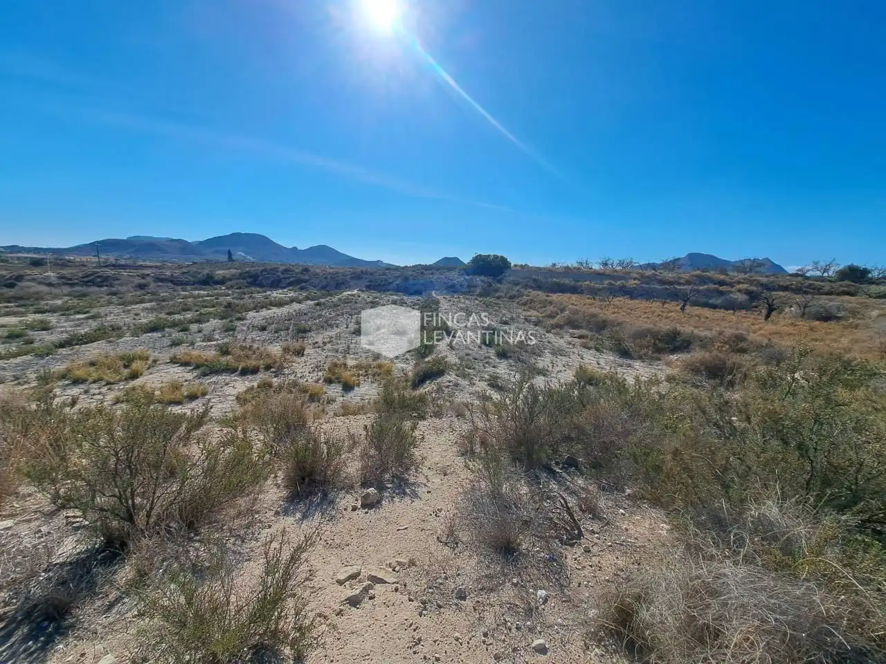 Terreny residencial en venda a Partidas de Alicante, imagen 35