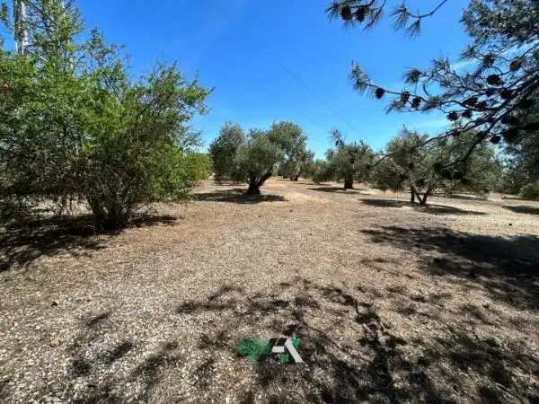 Casa rústica amb piscina en venda a Baeza, imagen 32