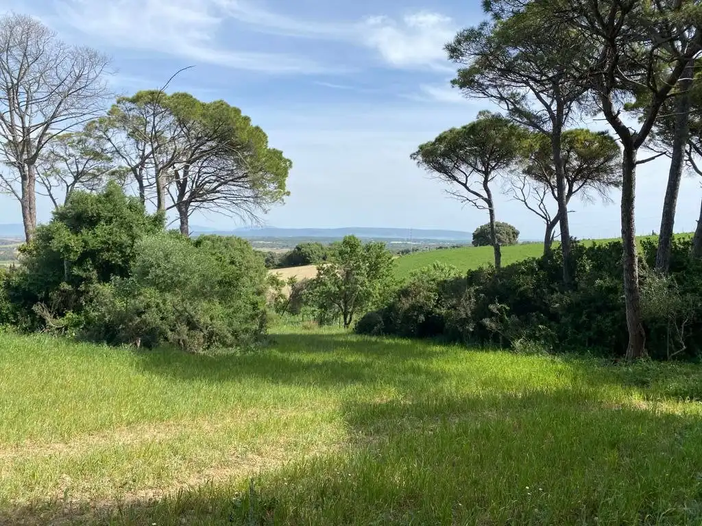 Terrain rustique à vendre à Vejer, imagen 3