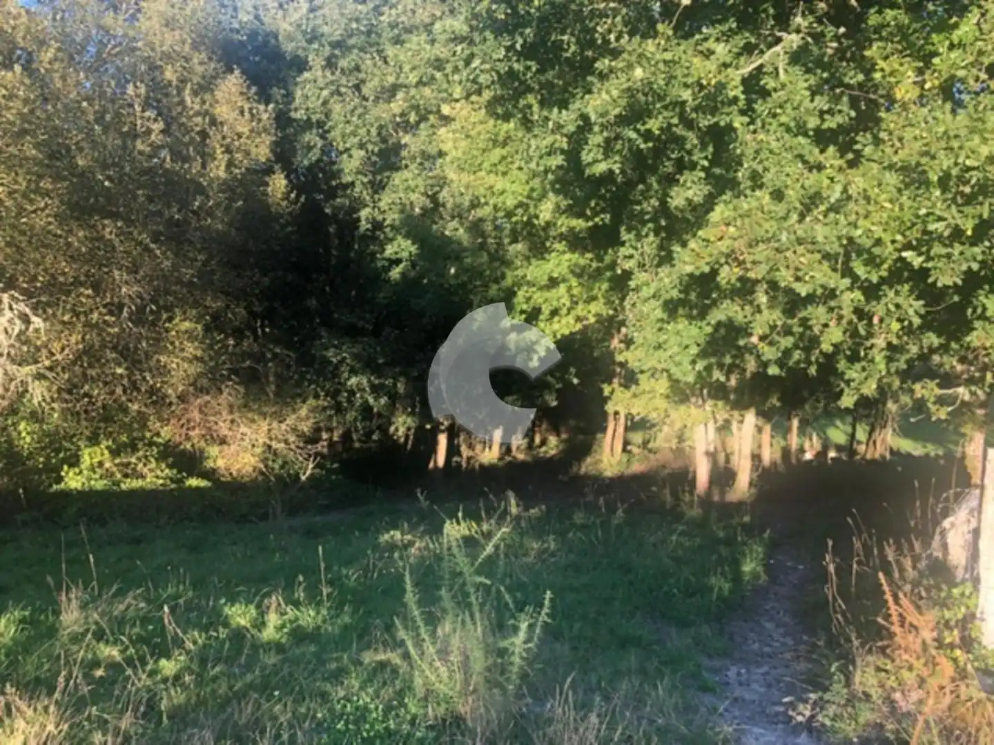 Terreni e lotti in vendita a Nogueira de Ramuín, imagen 30