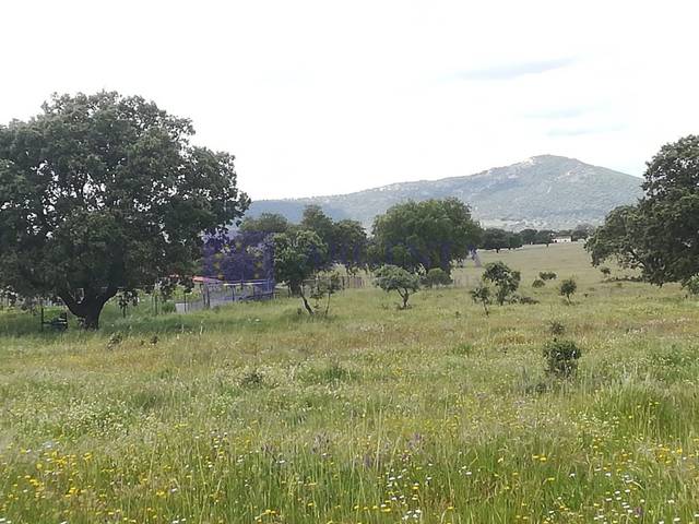 Terreno residencial en Venta en N/A en Estación Arroyo Malpartida