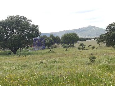 Residential land for sale in Carretera Badajoz
