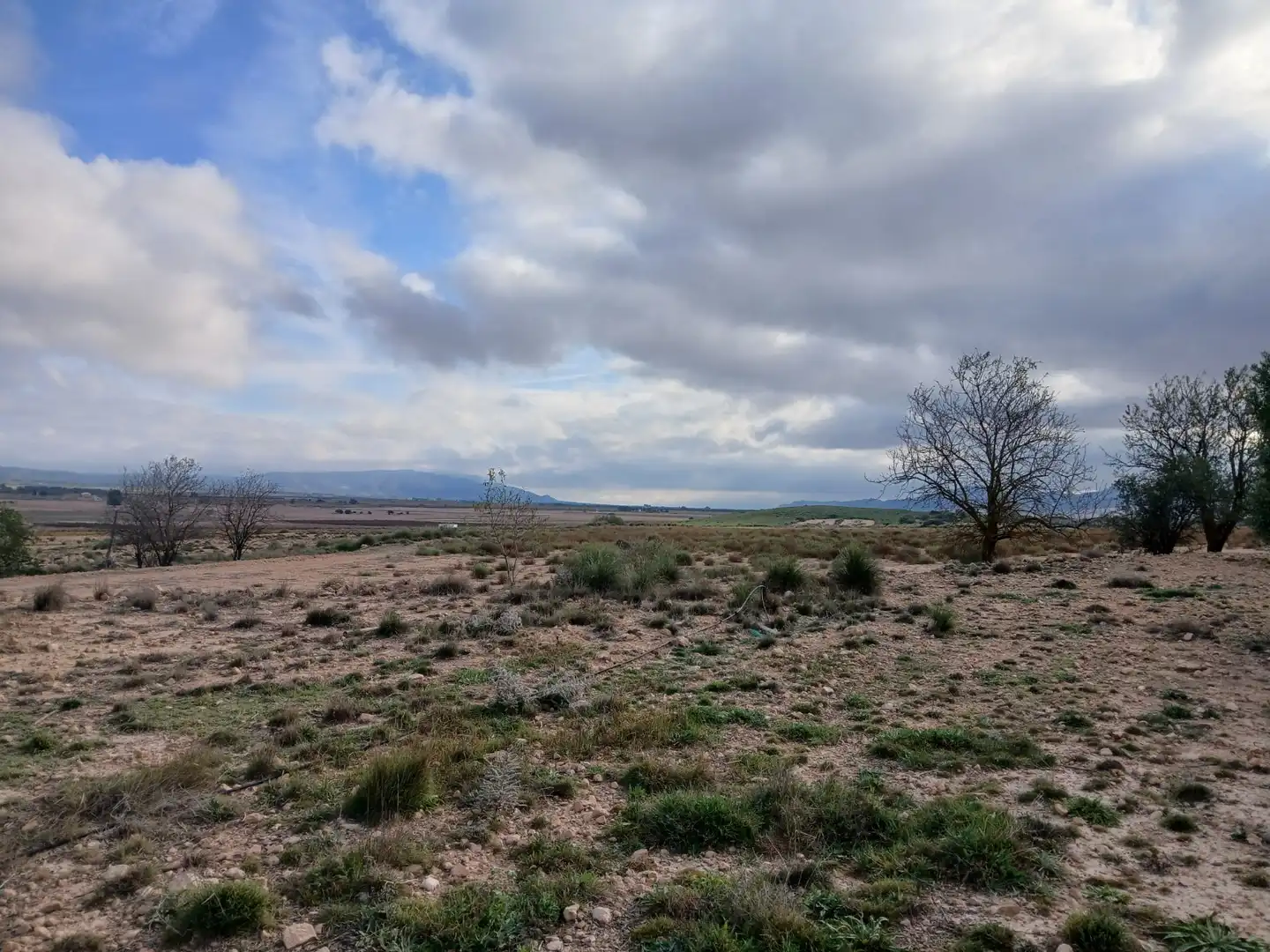 Residential land for sale in Yecla, imagen 15