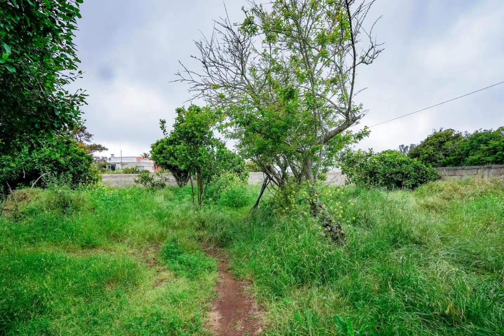 Houses for sale in San Cristóbal de la Laguna