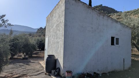HUERTA CON MUCHA AGUA, LUZ Y CASITA , A PIE DE CARRETERA EN EL PUENTE PALOMILLAS, immagine 2