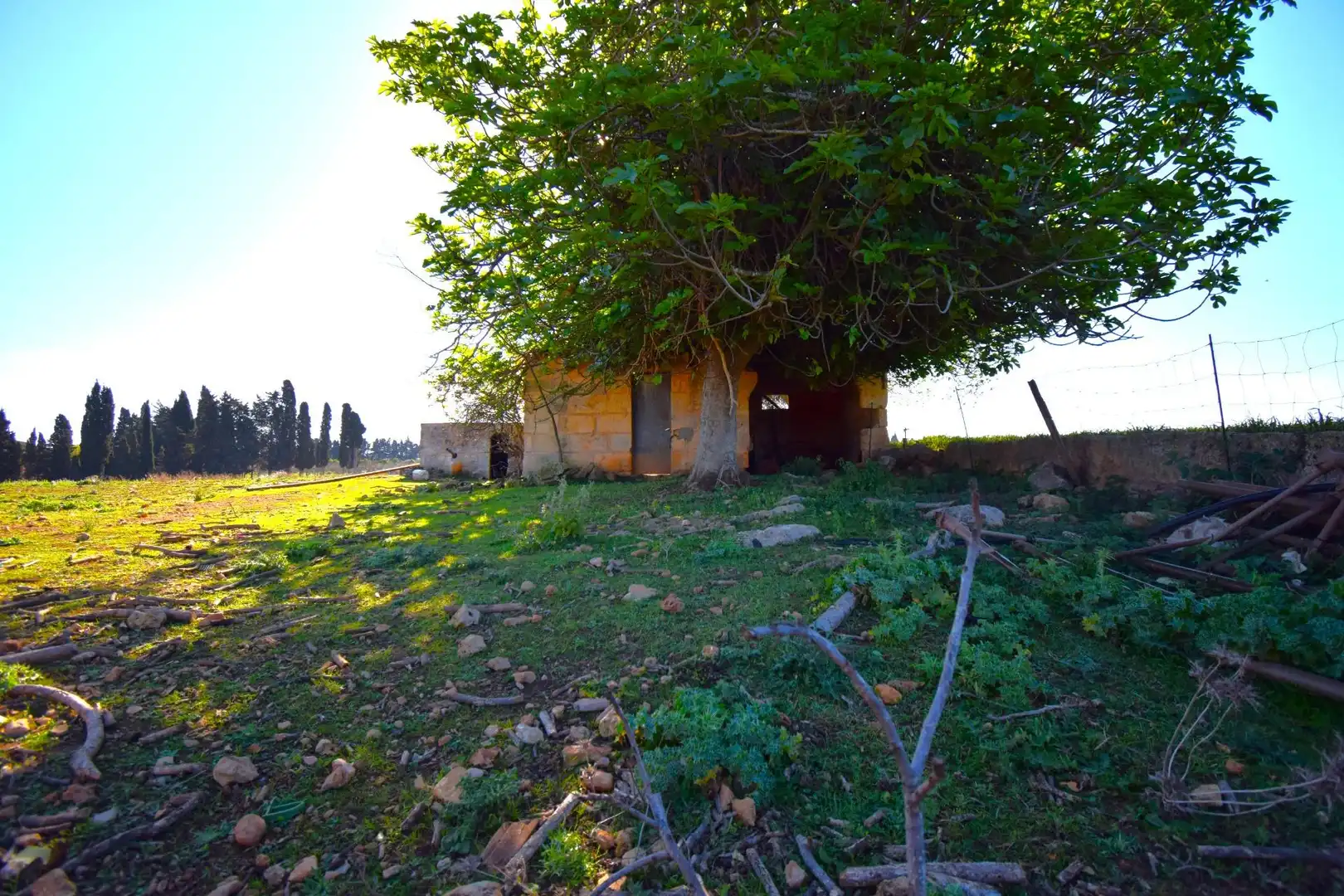 Casa rústica con piscina en venta en Muro, imagen 3