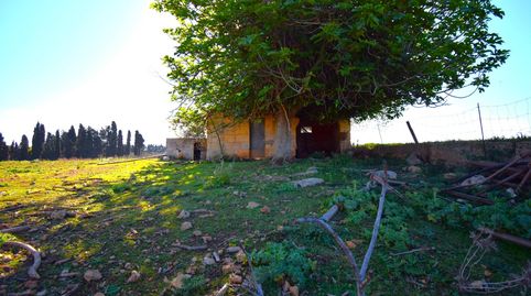 Foto 3 de Finca rústica en venta en Muro, Illes Balears