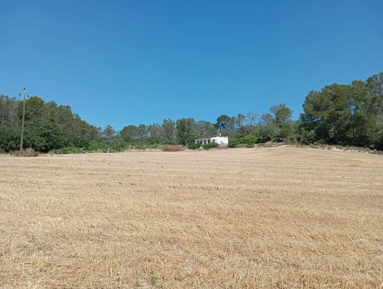 Casa o chalet en venta en Lloret de Vistalegre