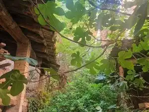 Wohnbaugrundstück zum Verkauf in Carrer de Sant Sebastià 35, imagen 6