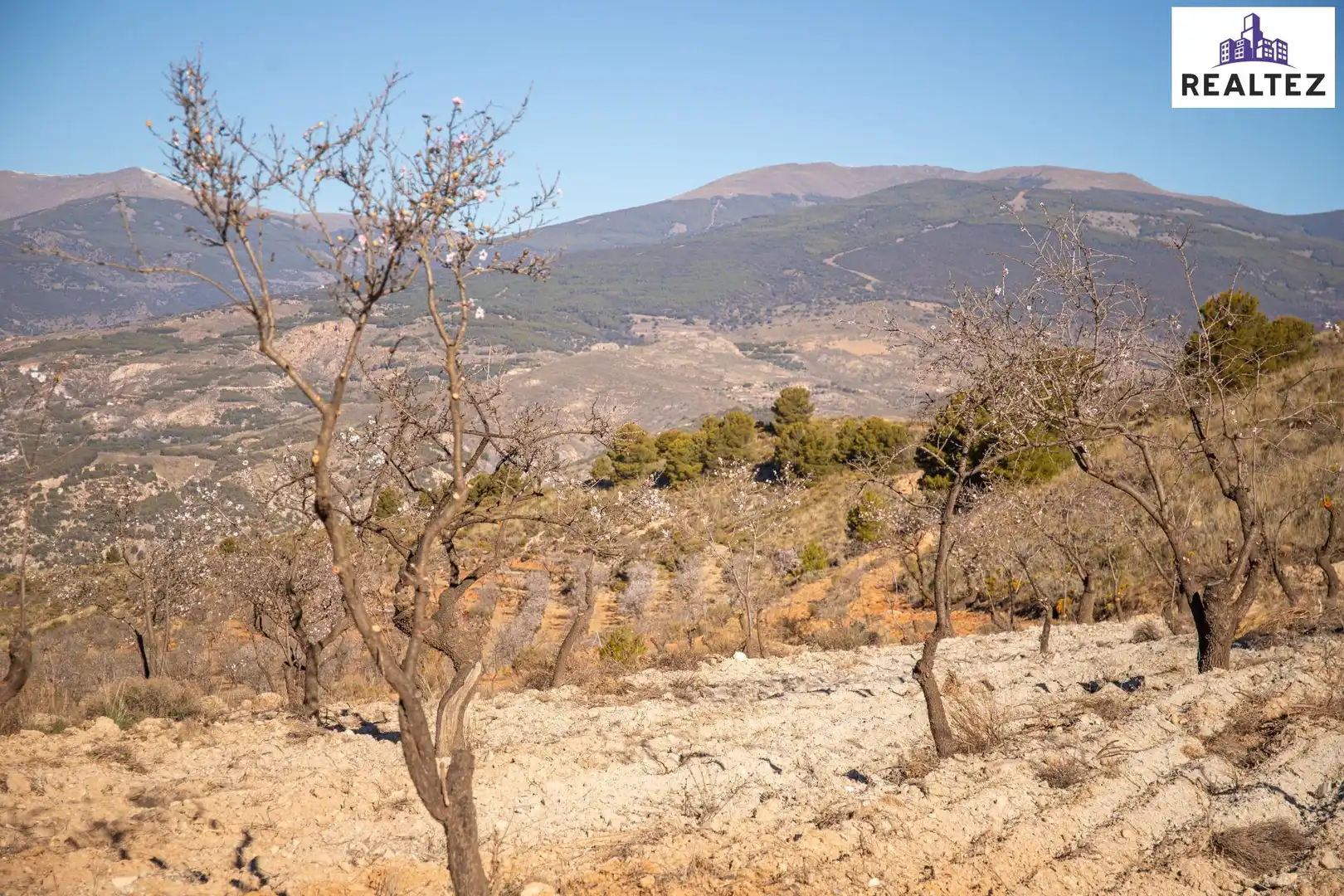 Rural land for sale in Laujar de Andarax, imagen 3