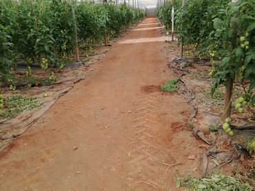 Terreno rustico in vendita a Gérgal