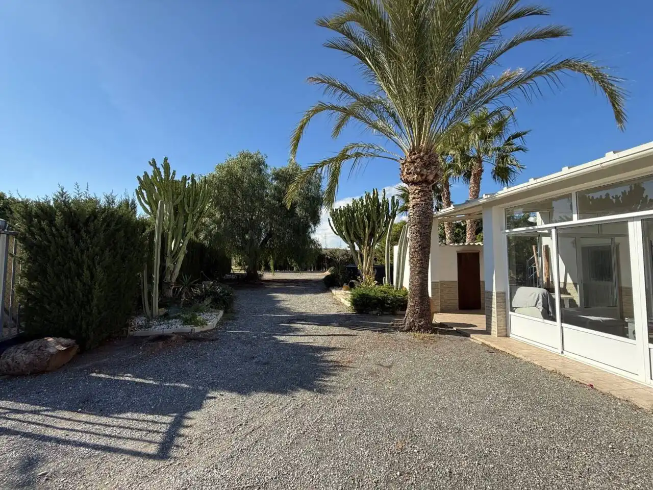 Vista exterior de Finca rústica en venta en Elche / Elx con Terraza y Amueblado