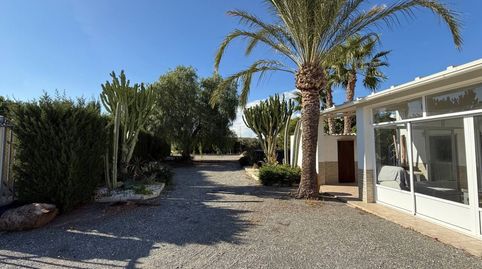 Foto 4 de Finca rústica en venta en Calle Saladas, Jubalcoi, Elche / Elx