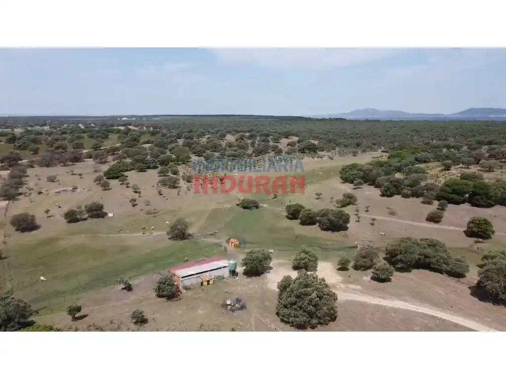 Finca rústica en venda en Talaván