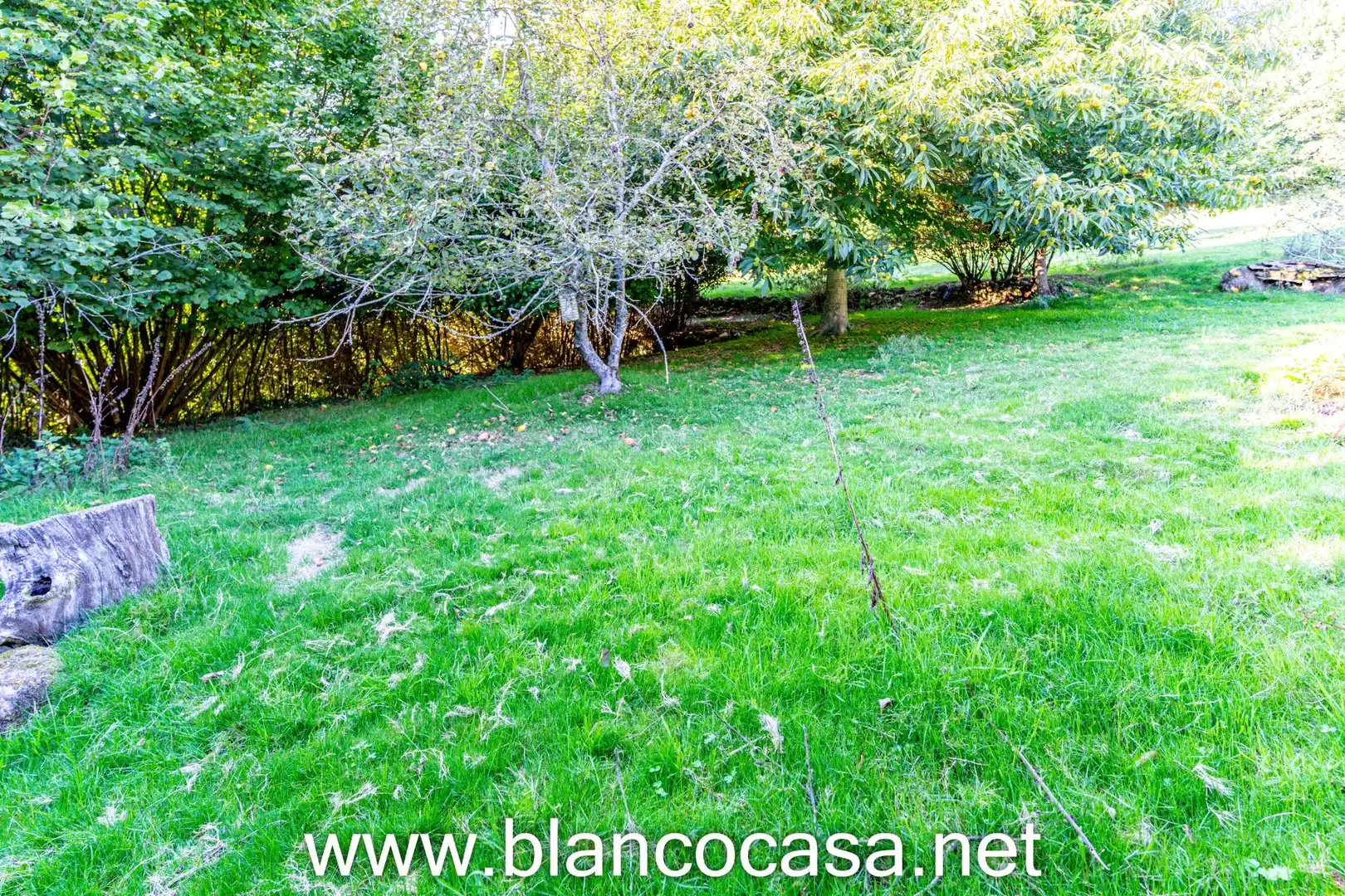 Casa con giardino in vendita a A Laracha, imagen 54