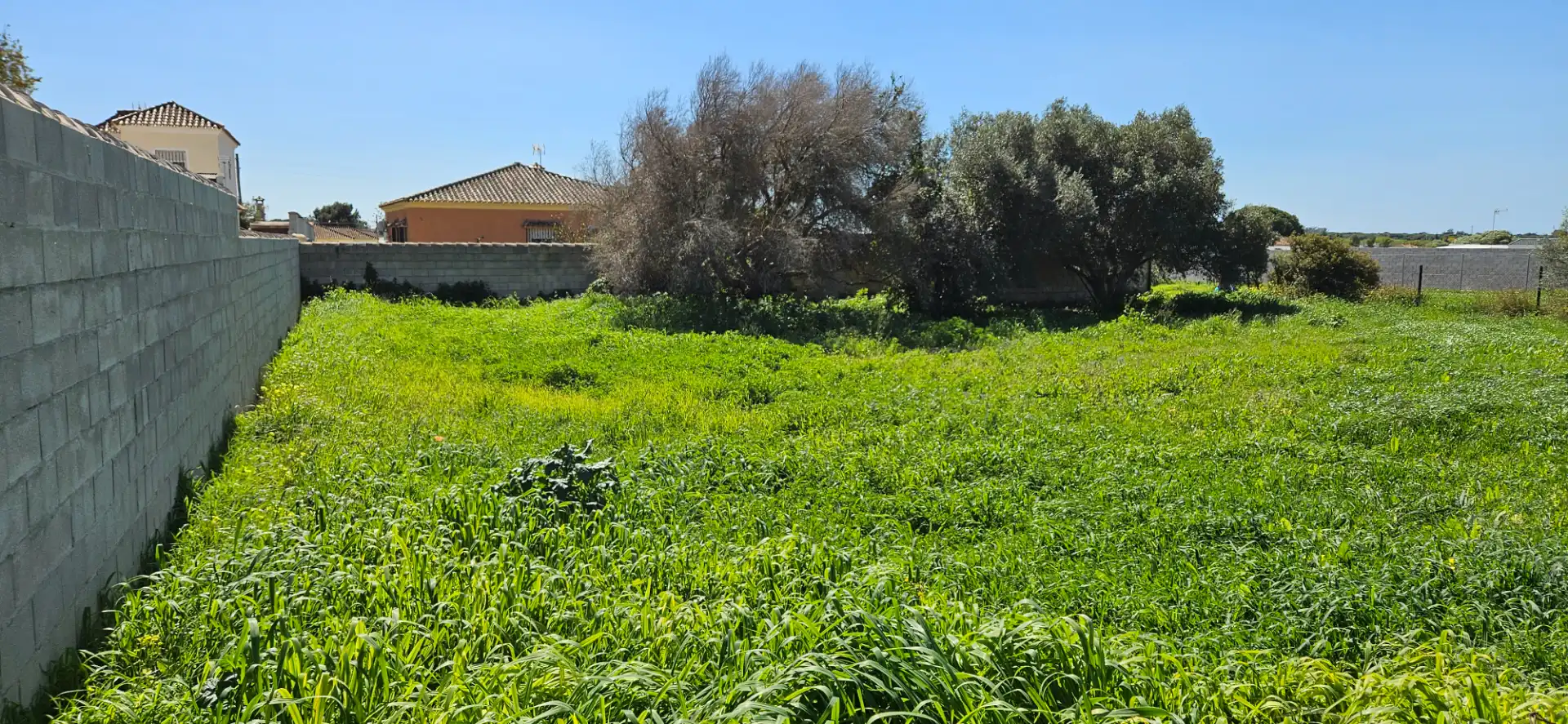 Terreny rústic en venda a Las Lagunas - Campano, imagen 2
