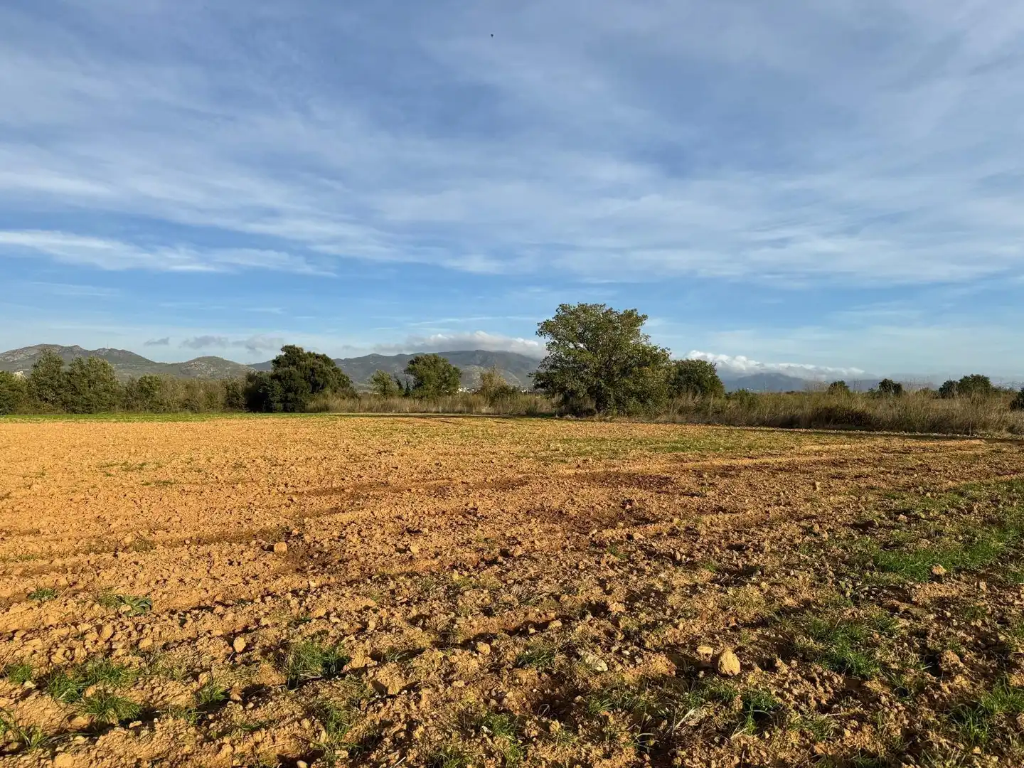 Rural land for sale in Garriguella, imagen 9