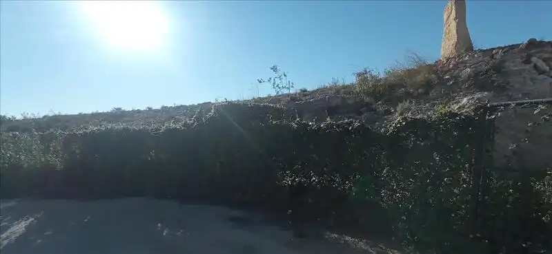 Land for sale in Los Montesinos