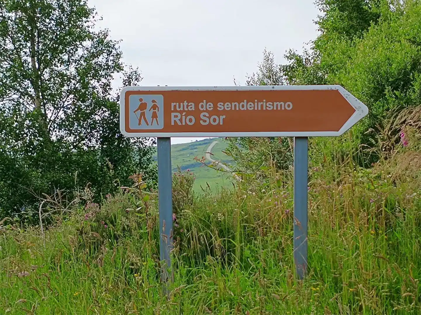 Vista exterior de Casa o chalet en venta en Mañón con Jardín privado y Amueblado