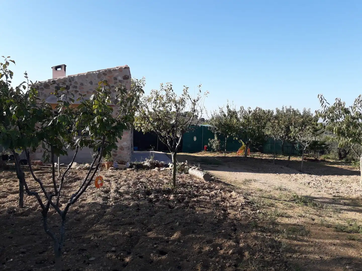 Rural land for sale in Salomó, imagen 3