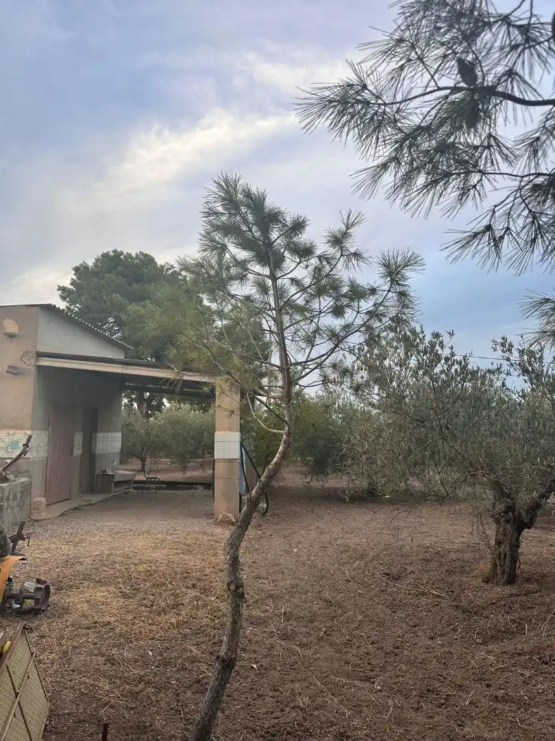 Vista exterior de Terreno en venta en Alhama de Murcia