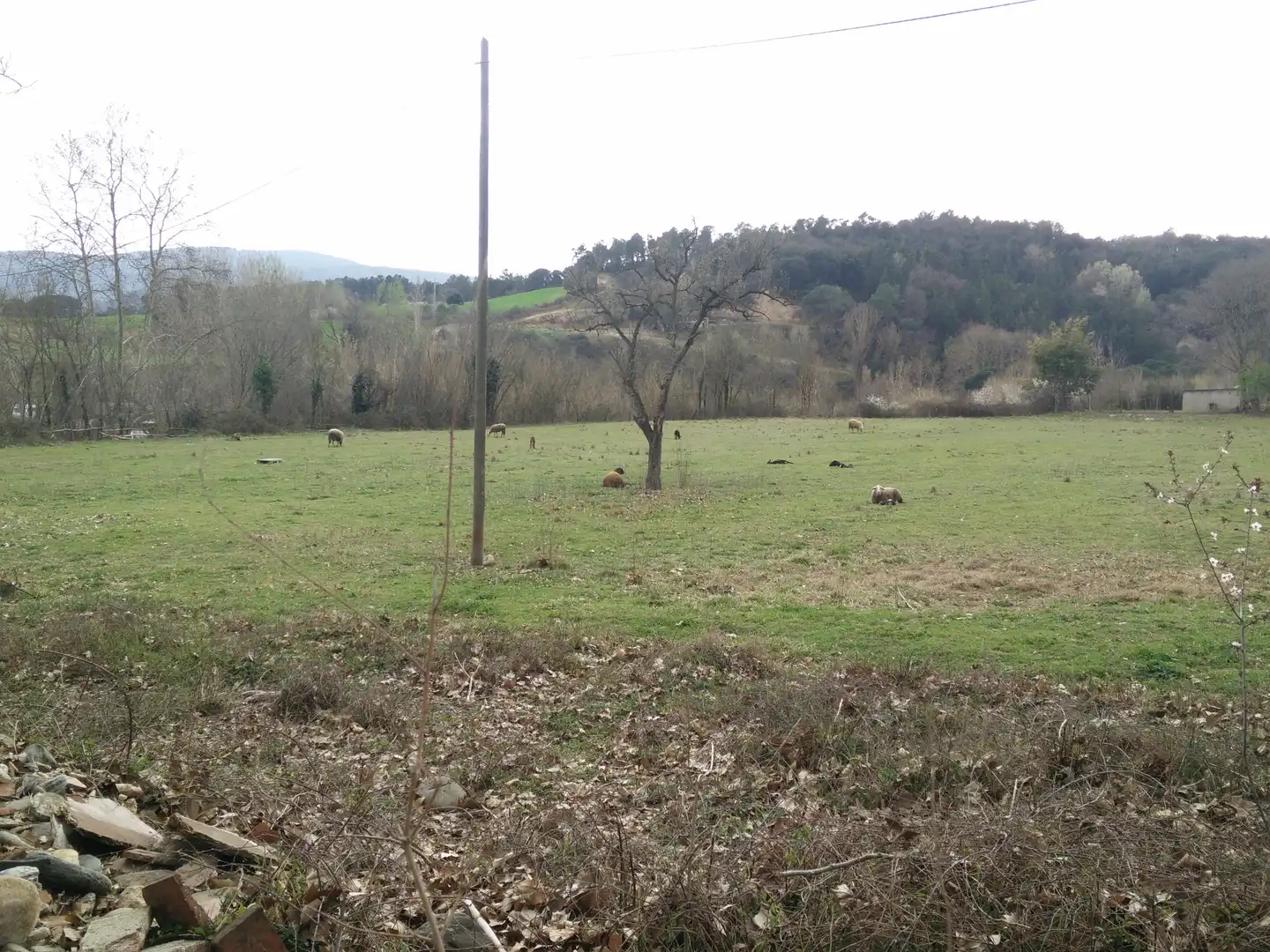 Finca rústica en venta en Sant Celoni