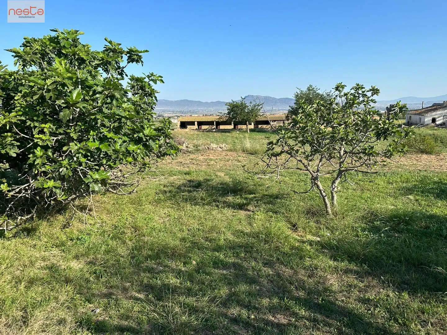 Terreni e lotti in vendita a Pedanías Sur, imagen 32