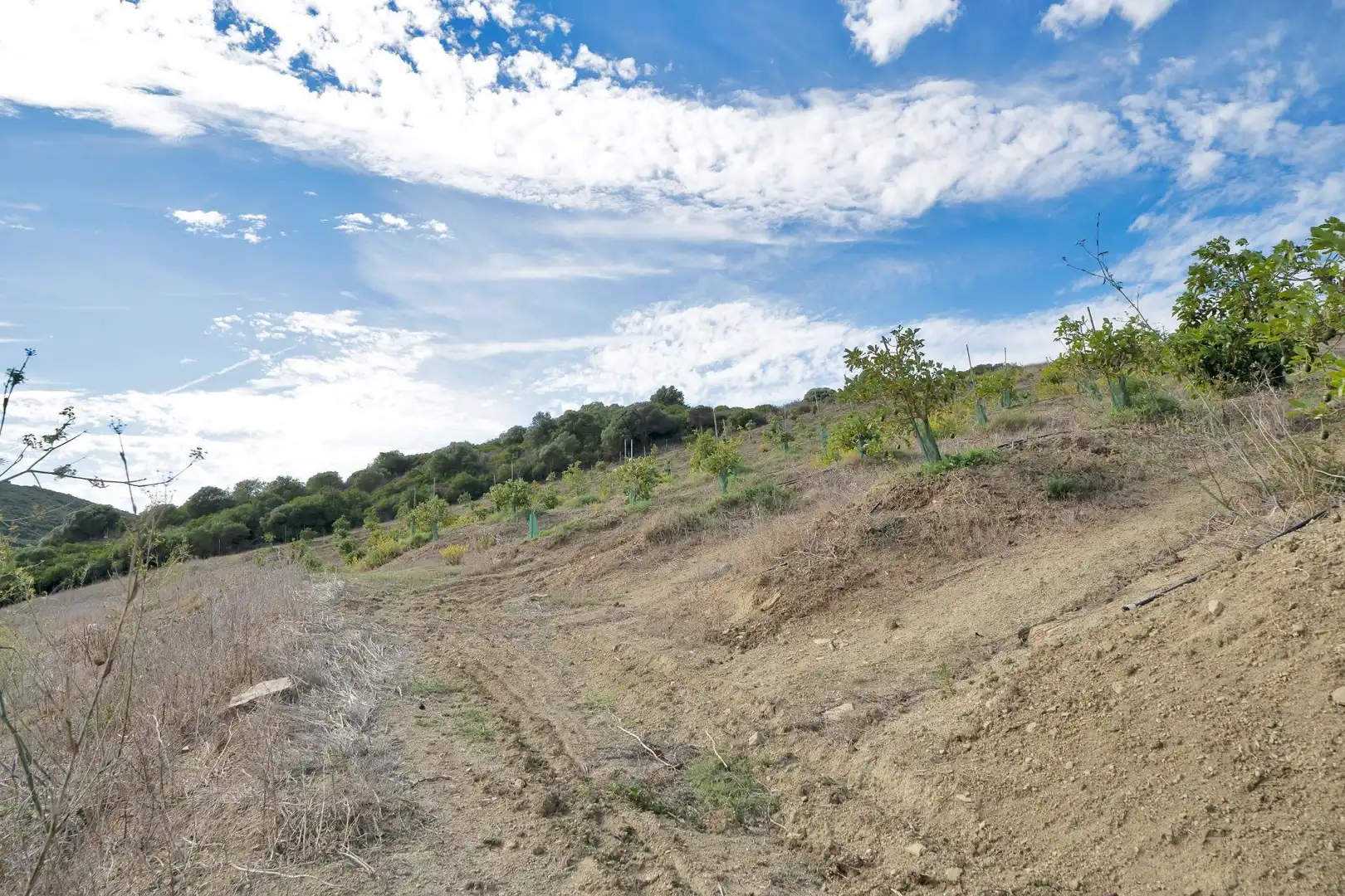 Terreny residencial en venda a Manilva Pueblo, imagen 26