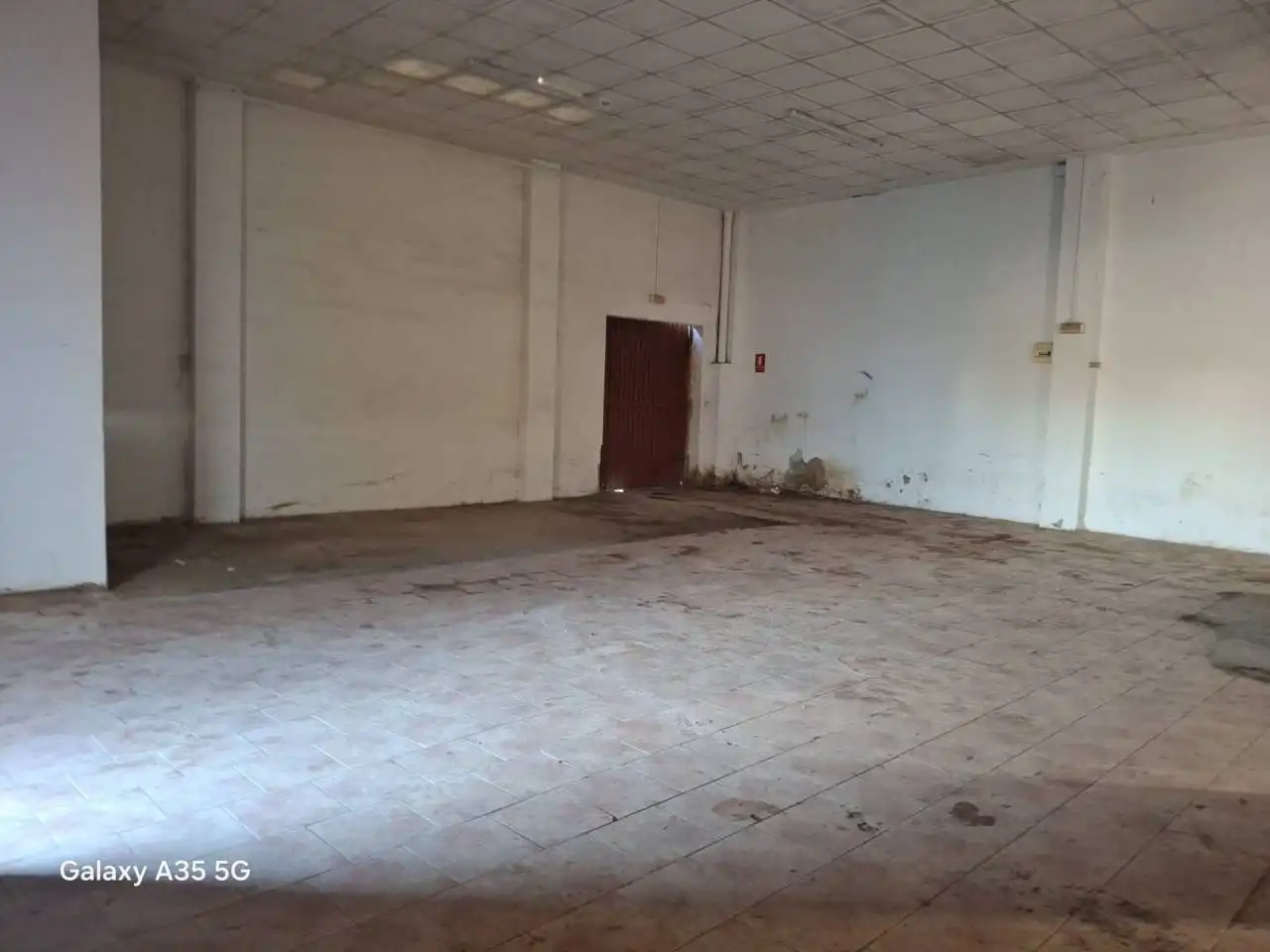 Industrial buildings for rent in Almàssera