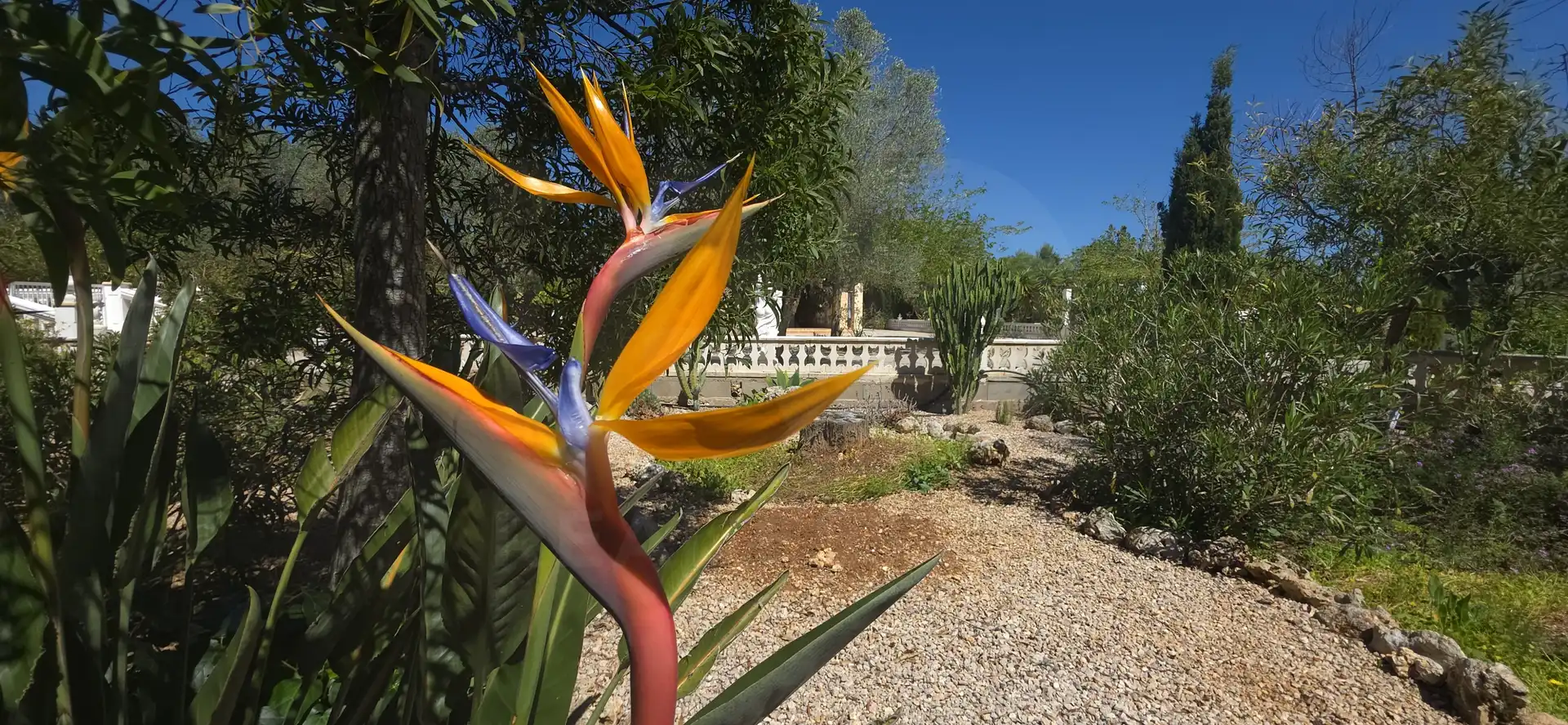 Garden of Houses for sale in Algaida  with Air Conditioner, Heating and Terrace