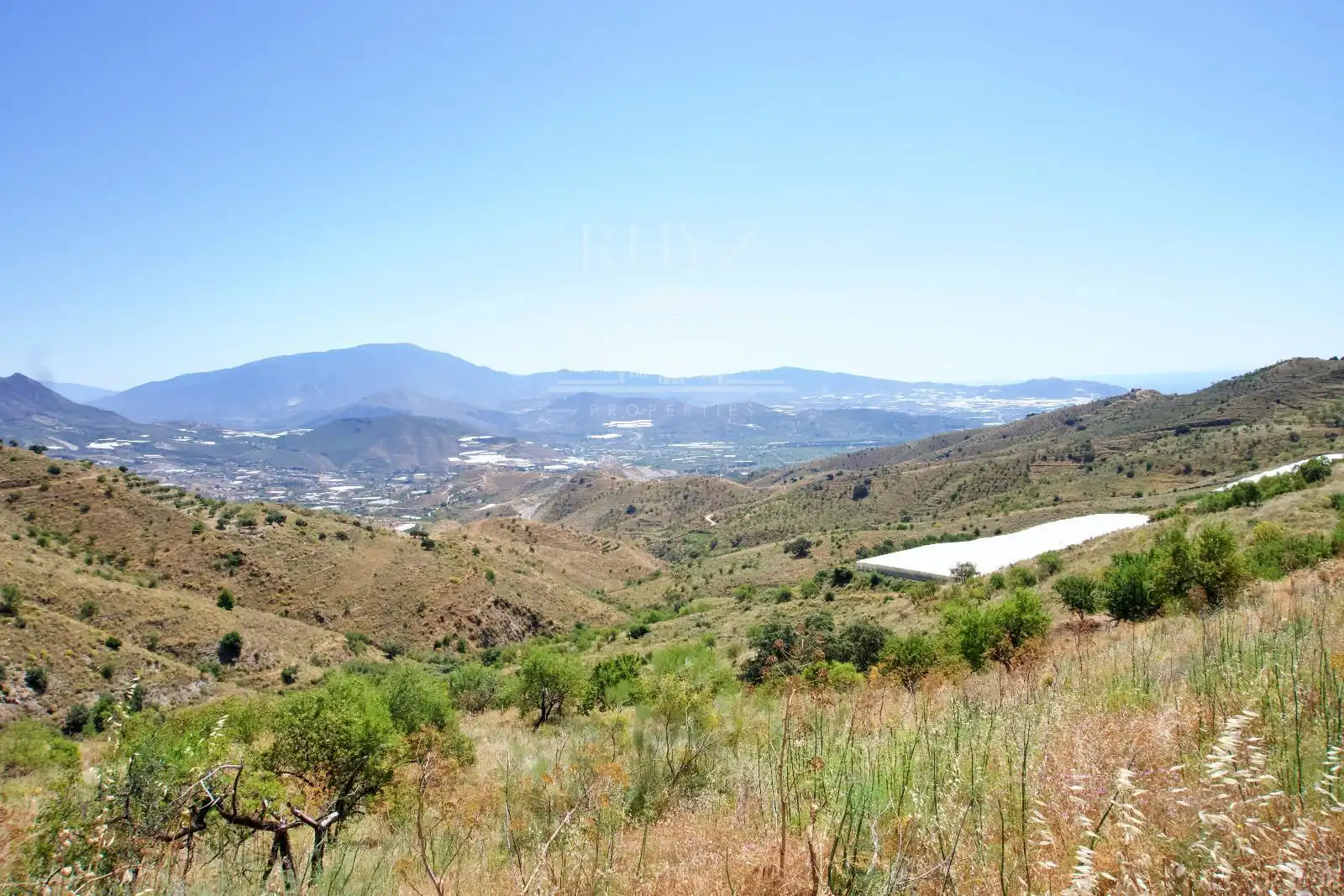 Terreny rústic en venda a Paraje El Poyetón, imagen 13
