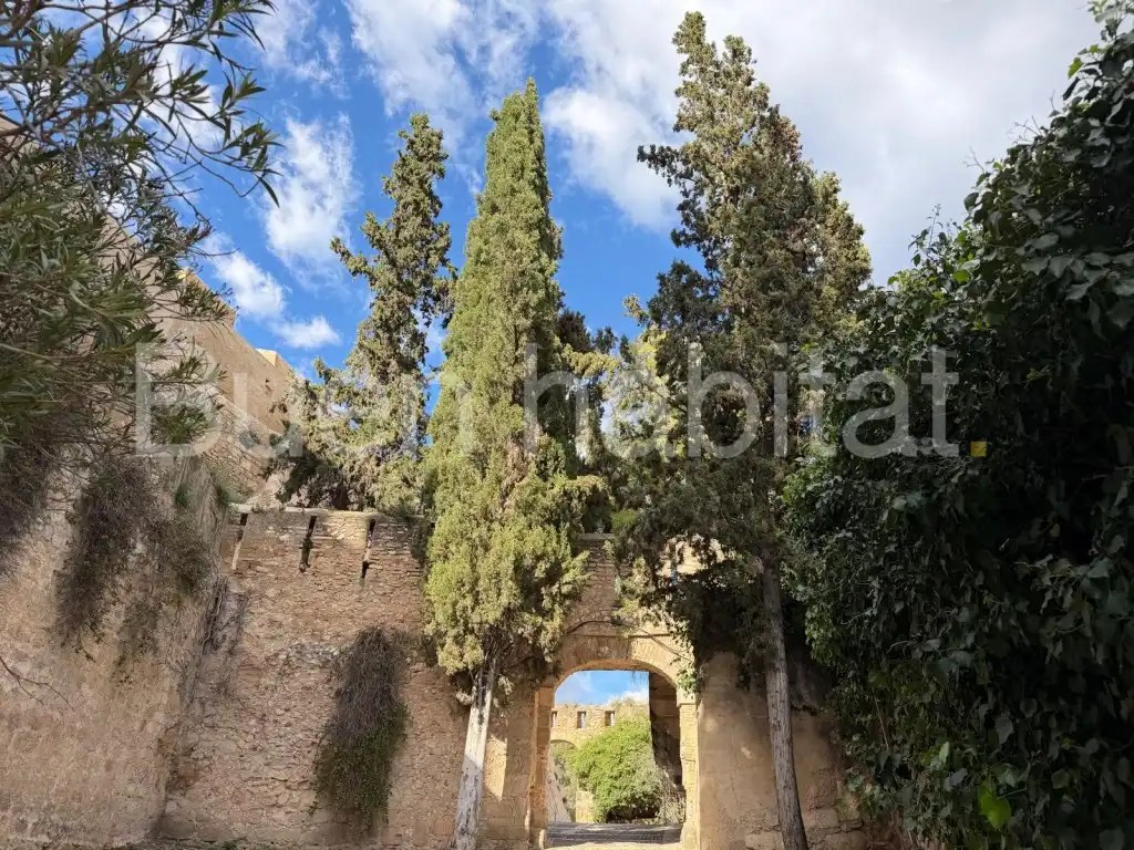 Terreny residencial en venda a CT Castell 18, imagen 10