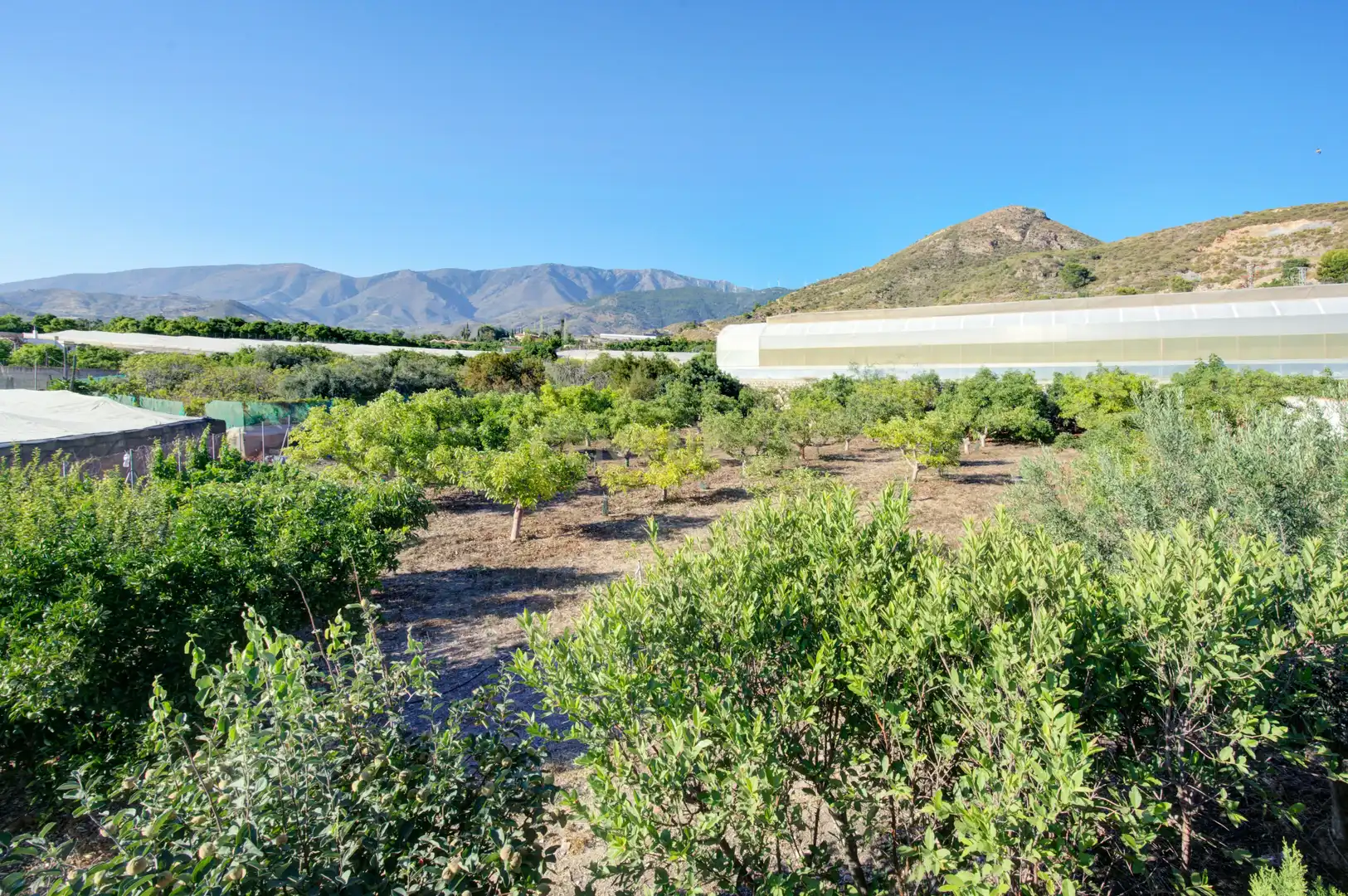 Jardín de Casa o chalet en venta en Motril con Jardín privado, Trastero y Piscina