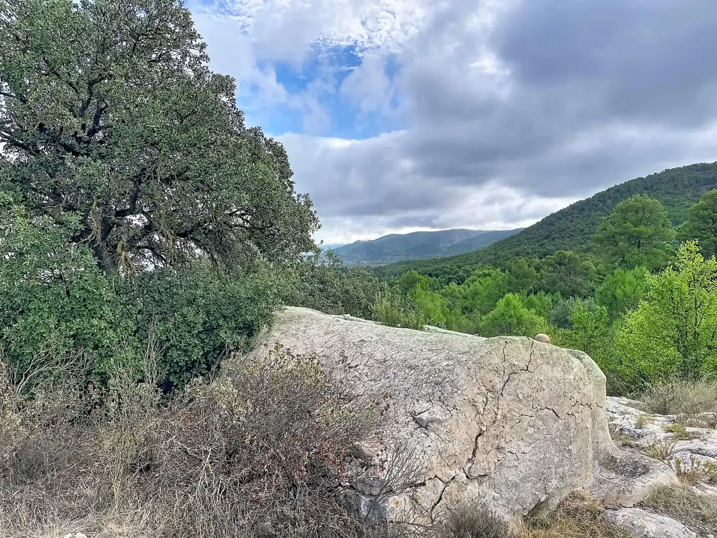 Rural land for sale in Penàguila, imagen 31