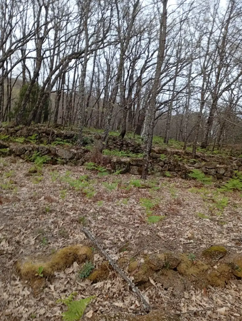 Terreni e lotti in vendita a Valverde de la Vera, imagen 119