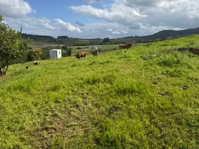 Residential land for sale in Castropol, imagen 9