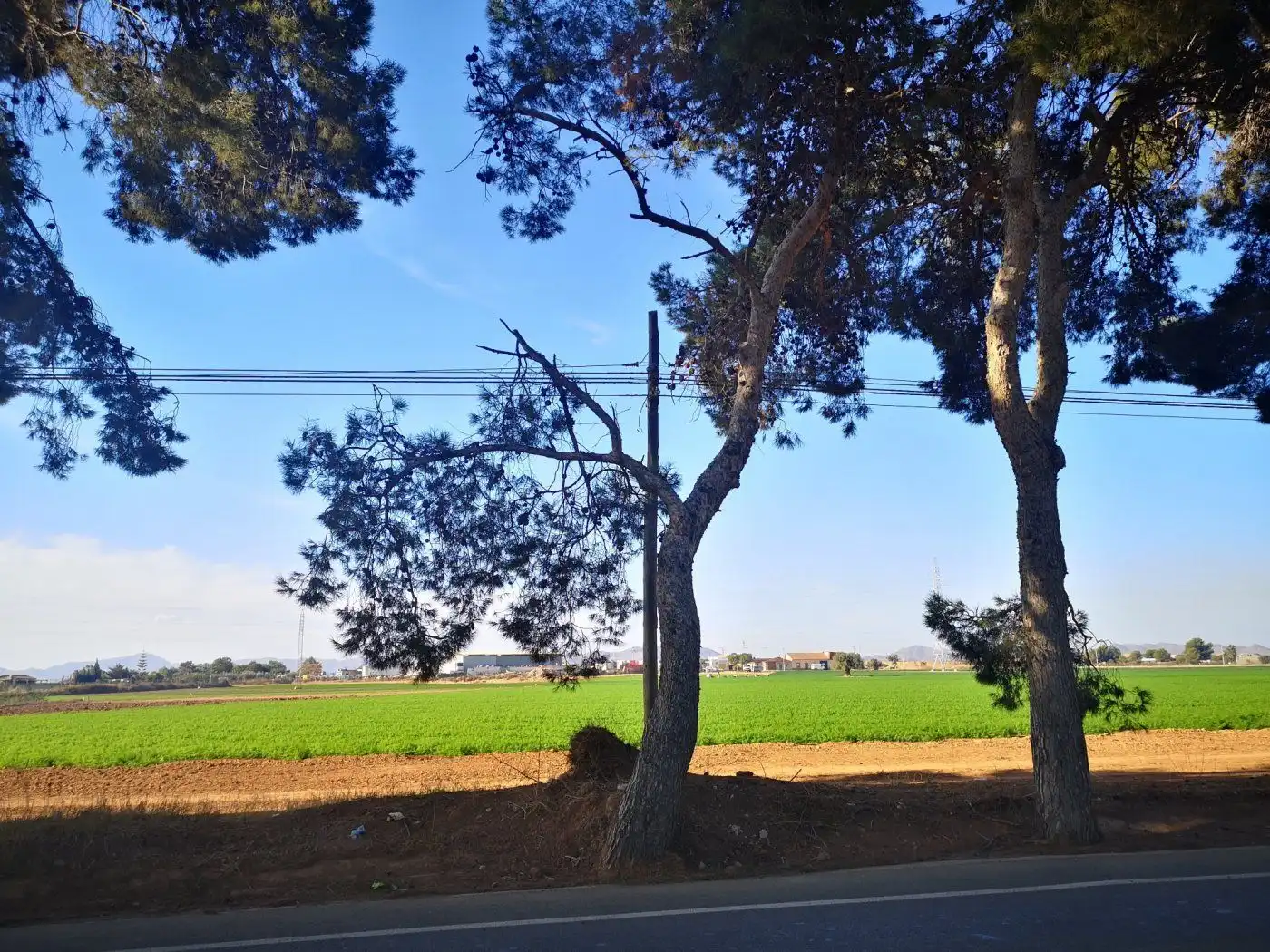 Vista exterior de Finca rústica en venta en Cartagena