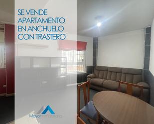 Sala d'estar de Apartament en venda en Anchuelo