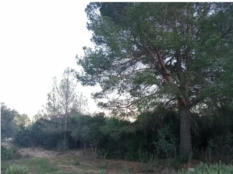 Residential zum Verkauf in Mont-roig del Camp