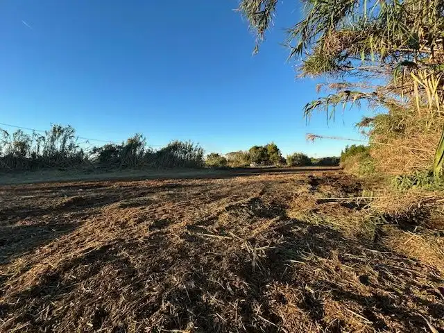 Grundstücke zur Miete in Castellón de la Plana / Castelló de la Plana