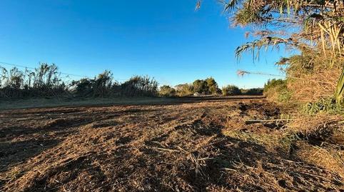 Foto 3 von Grundstücke zur Miete in Camí de L'obra, 200, El Grao, Castellón de la Plana / Castelló de la Plana