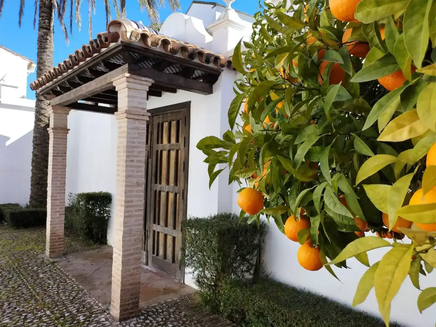 Jardí de Pis de lloguer en Aracena amb Aire condicionat, Traster i Moblat
