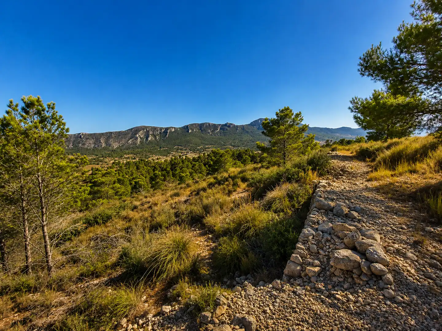 Terreno en venta en La Romana