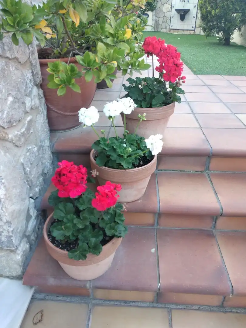 Maison mitoyenne avec jardin à vendre à Montseny, imagen 52