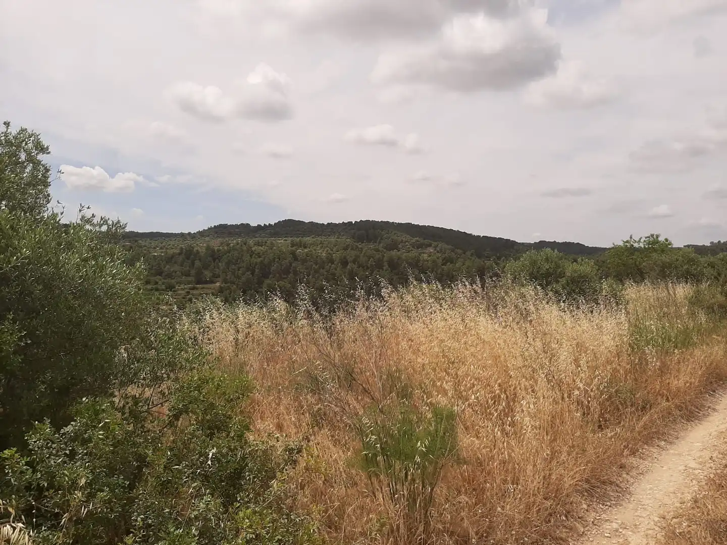 Casa adosada en venda en Cervià de Les Garrigues amb Jardí privat, Terrassa i Balcó