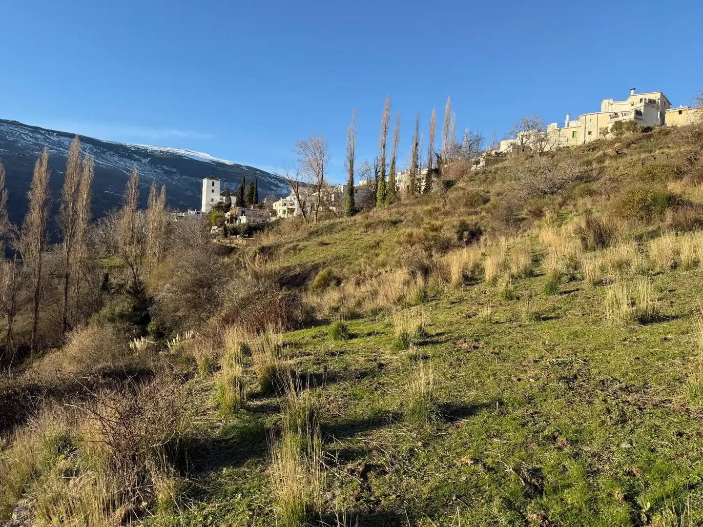Rural land for sale in Bubión, imagen 6