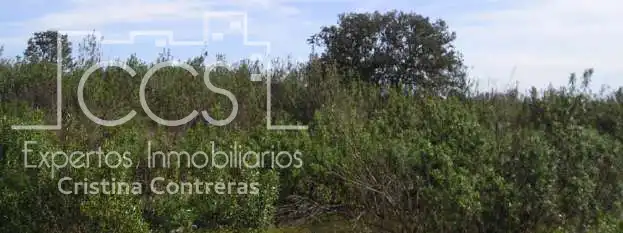 Finca rústica en venta en Cabezas Rubias