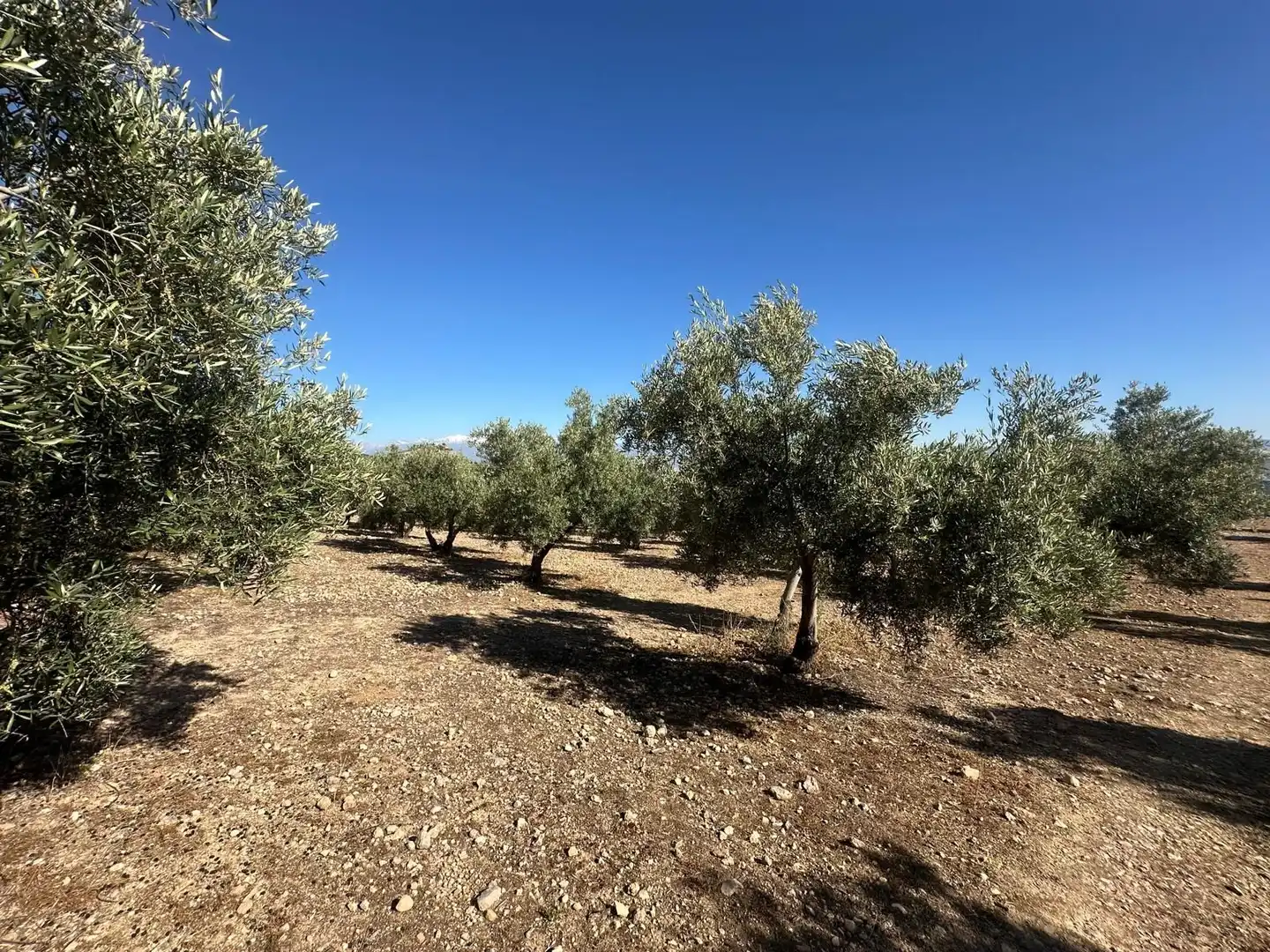 Terreni e lotti in vendita a Atarfe, imagen 18