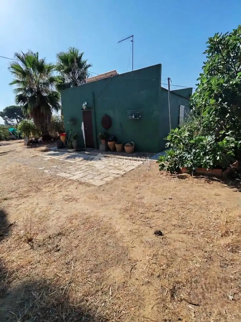 Terreno en venta en Marchena