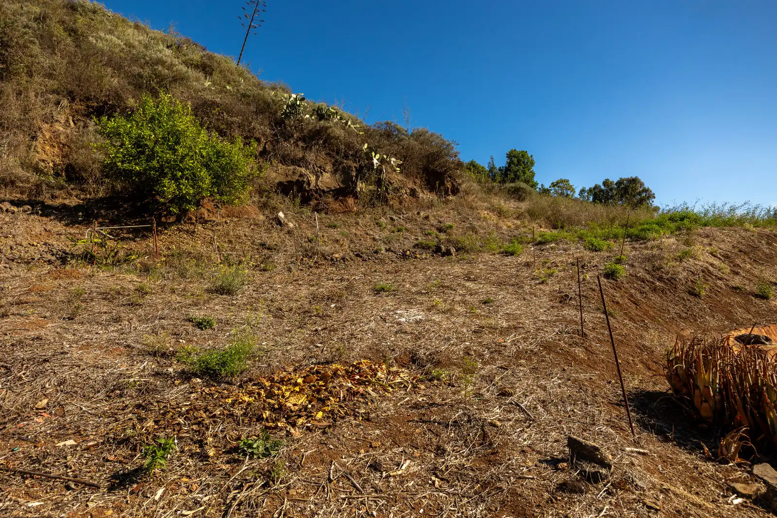 Casa rústica amb jardí en venda a Montaña Alta, imagen 59